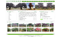 金华市树桩盆景园